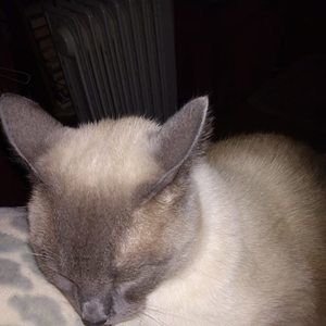 Meet your Posher, Beth